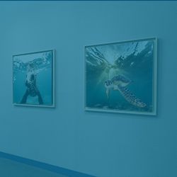 Ocean art exhibition
